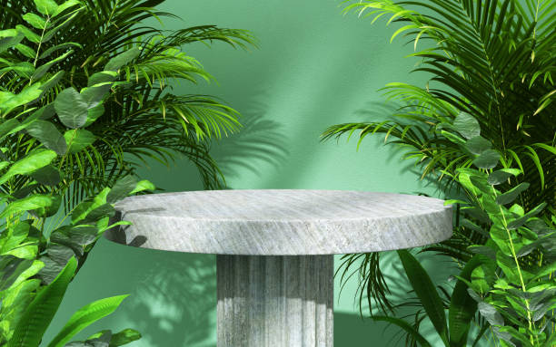 Stone podium for display product with tropical leaves. 3d illustration