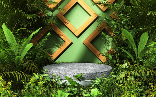 istock 3d Render Empty Stone Podium in tropical forest for product presentation and green background stock photo 1444273156