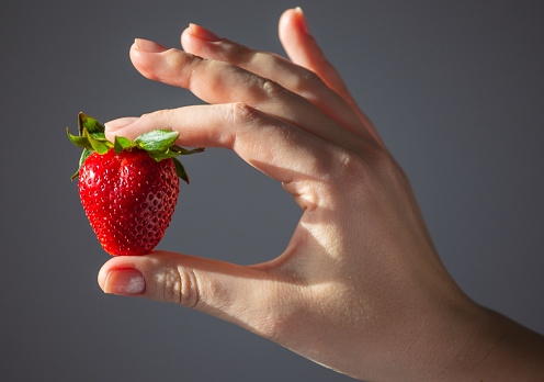 A woman holding a red, ripe, fresh strawberry in her hands, isolated on a gray background close-up, selective focus. Young woman holding fresh ripe strawberries, close-up. Strawberry background.
