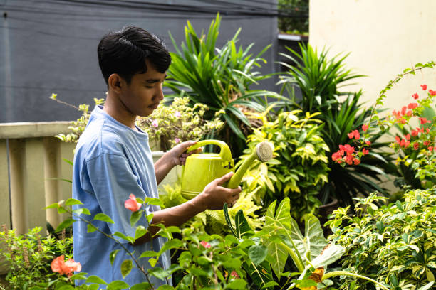 istock young man watering plants in back yard 1444287067