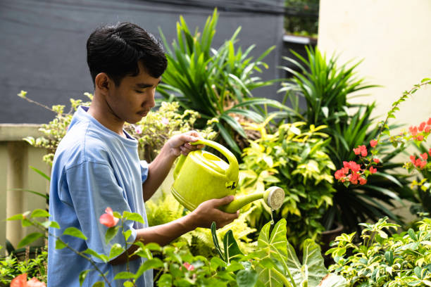 istock young man watering plants in back yard 1444287073