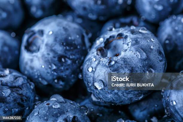 https://media.istockphoto.com/id/1444287233/photo/water-drops-on-ripe-sweet-blueberry-fresh-blueberries-background-with-copy-space-for-your.jpg?s=612x612&w=is&k=20&c=XF6aKRI1QLtOJbv3tVSY0Ahf2bygrQWOZoEqEuaA2VY=