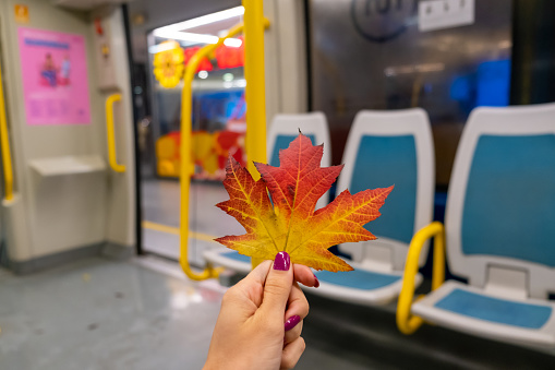 Female hand holding an autumn leaf at empty train coach with red seats. Inside of a train carriage, travel concept copy space