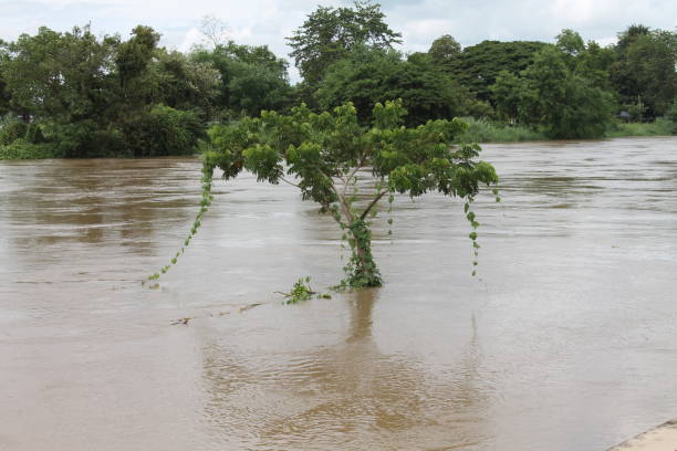 istock Rimping river  north of thailand kamphangphet 1444293341