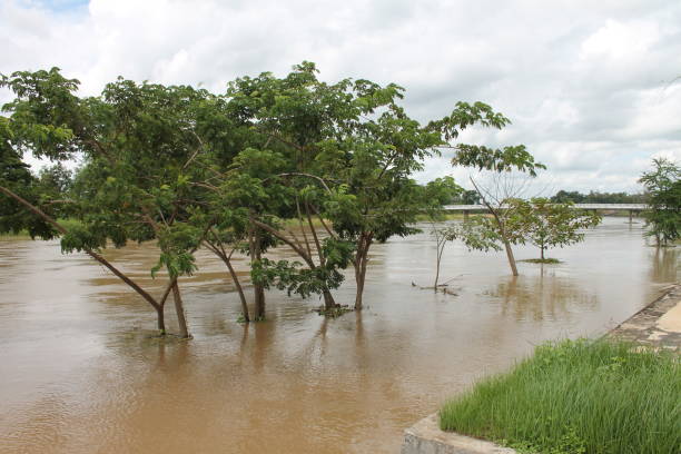istock Rimping river  north of thailand kamphangphet 1444293343