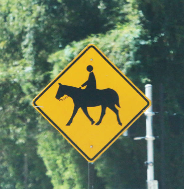 Horse equestrianism warning sign on the green field near the road