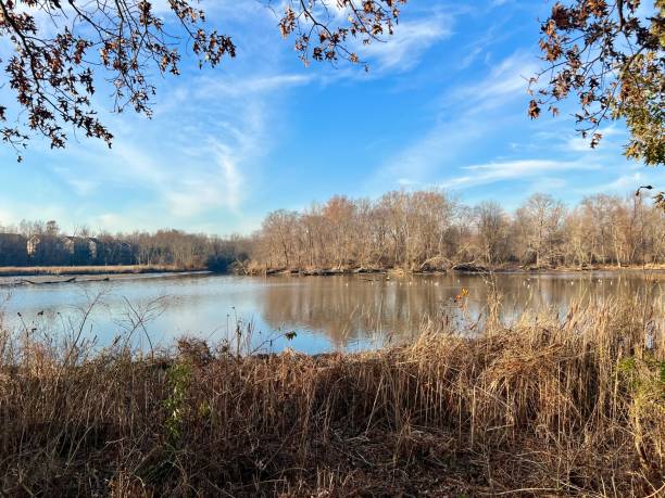 istock Northeast Community Park Maryland 1444303937