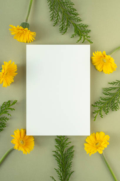 istock Flowers and Cards Mock-up 1444314300