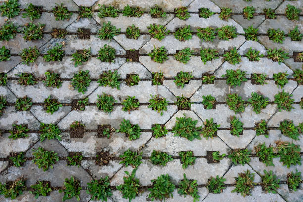 Green grass patterns on the waving block. Abstract background and wallpaper.