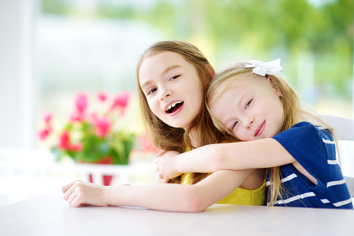 Portrait of two cute little sisters at home on beautiful summer day. Sibling love concept.