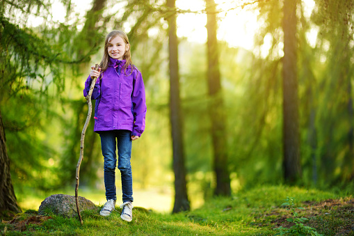 Cute little girl having fun during forest hike on beautiful autumn day in Italian Alps. Active leisure with small kids. Family hiking.