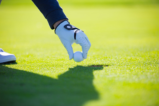 Golfer's hand putting a golf ball on tee in golf course.
