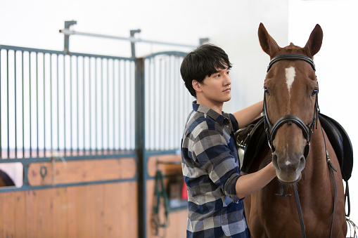 Un joven de Asia oriental calmando y examinando a un caballo en un establo - foto de archivo photo