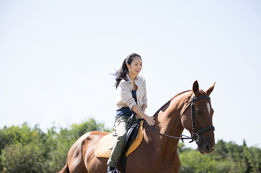 A female show jumper with wihite shirt ist taking a hurdle on a dark horse at Ranshofen Horse Riding Arena, Austria.\nCanon EOS 5D Mark IV, 1/1250, f/5, 95 mm.