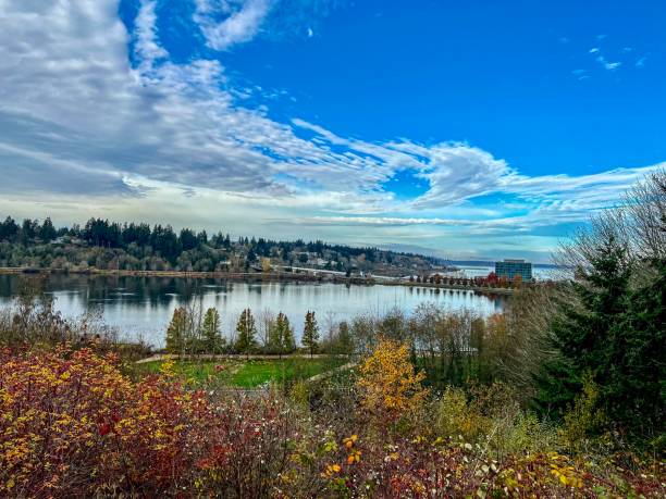 capitol lake park - olympia, wa - olympia washington fotografías e imágenes de stock