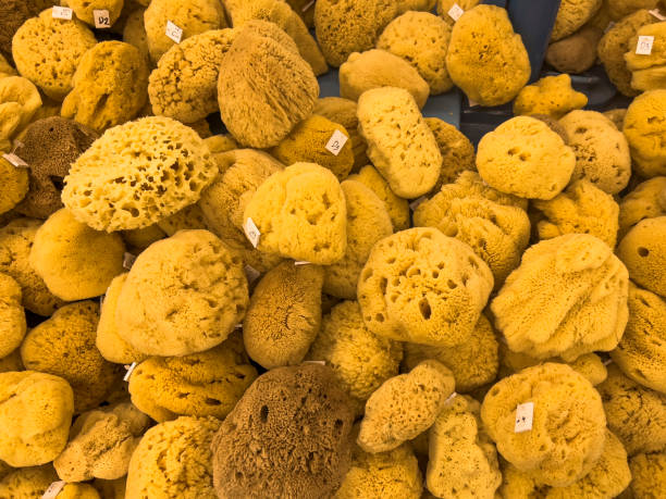Natural Sponges from the Greek Island Kalymnos.