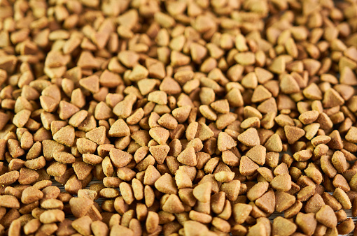 Dry cat food close-up, top view. Food for pets.