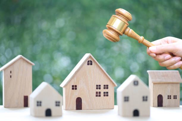 property auction, woman hand holding gavel wooden and model house on natural green background, lawyer of home real estate and ownership property concept - bidder imagens e fotografias de stock