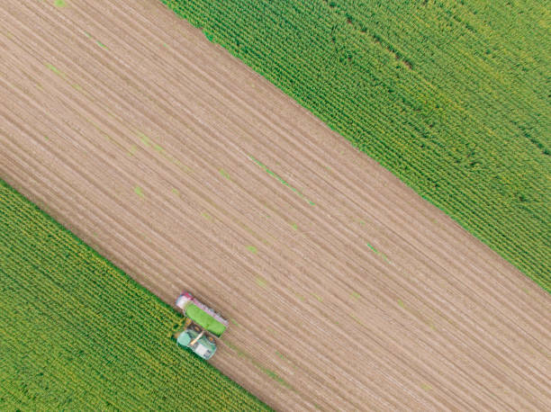 istock Aerial view of silage corn harvest 1444349235