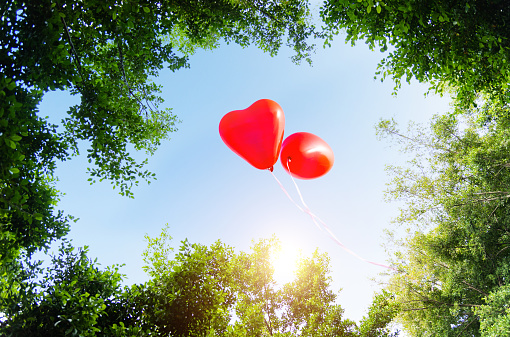 Two heart shape balloons floating over green trees