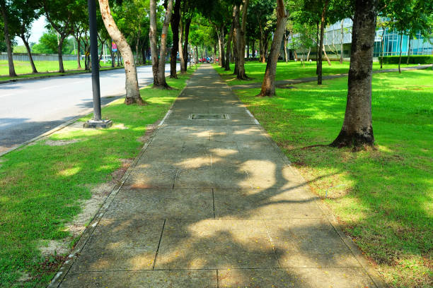 istock Close up Footpath in the Garden. 1444353094