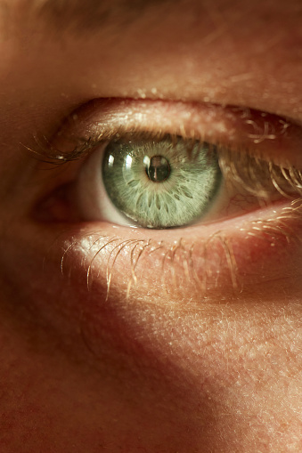 Macro open human eye, dilated pupil of gray color, close-up. Shocked look of a man, anatomy people