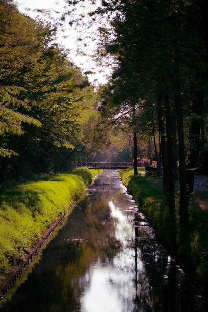 istock The river in the Rhododendron Park 1444354805