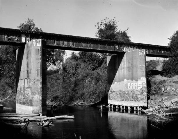 istock Grayscale shot of a bridge over the river 1444354967