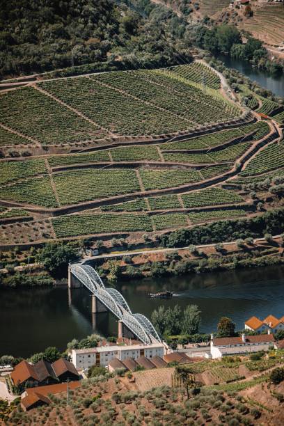 istock The breathtaking Douro River valley 1444355107