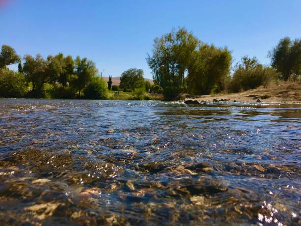 istock River with plain water with a green trees and blue sky on the horizon 1444355910