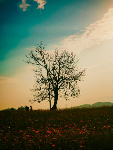 istock Evening atmosphere in the countryside, winter -02 1444357098