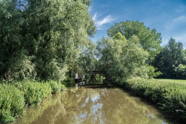 istock Nantwich Lakeside Loop Bridge Over River Weaver Sunny Day Landscape 1444358879