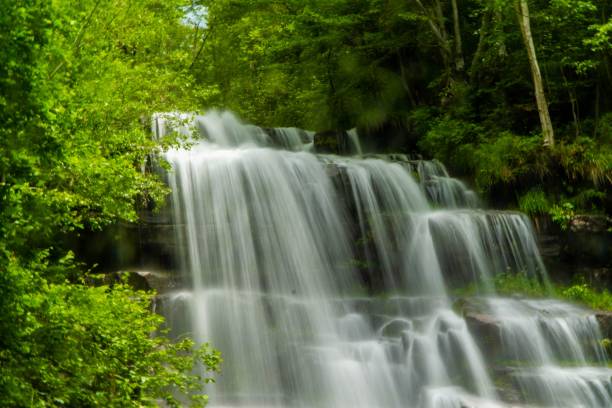 istock Beautiful scenery of cascade waterfall with fresh vegetation 1444359456