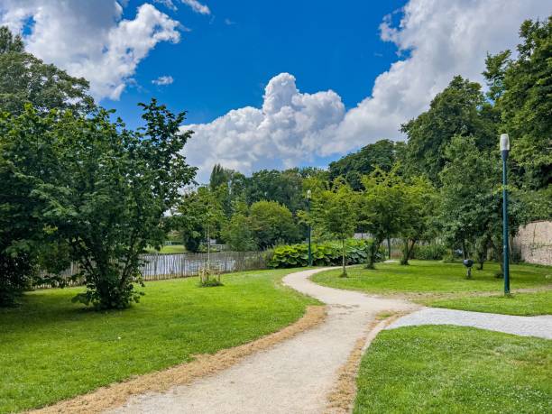istock Beautiful park with meadow and green vegetation 1444360736