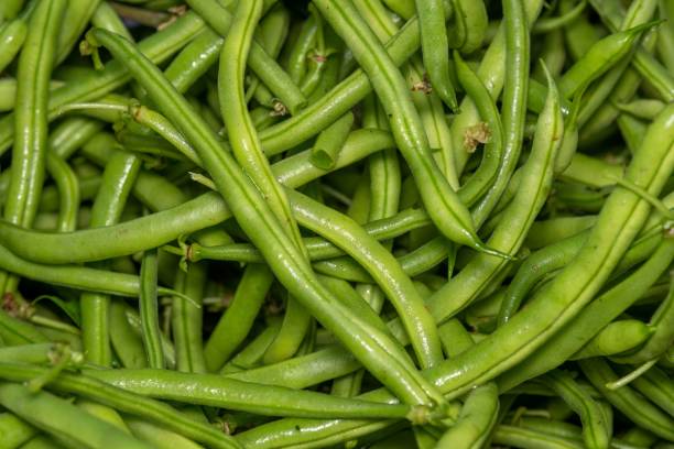 istock Fresh green beans pile background. 1444361840