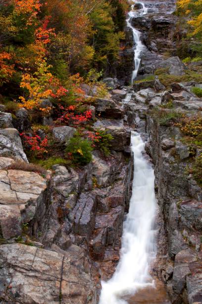 istock Vertical shot of waterfall flowing from rocks surrounded by autumn trees 1444361926