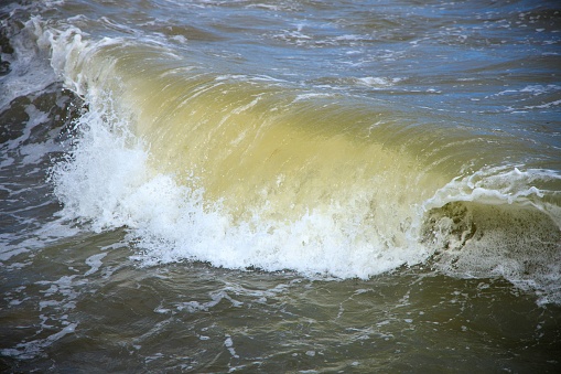 A closeup of a wave rolling and breaking into a dirty water with white foam