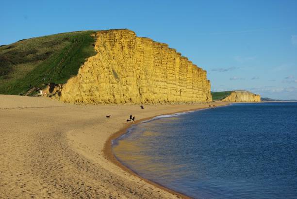 istock Breathtaking view from the shore of West Bay cliffs against blue sky background 1444362735