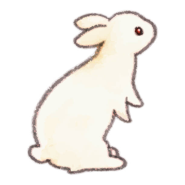 istock Watercolor style illustration of a standing rabbit 1444363963