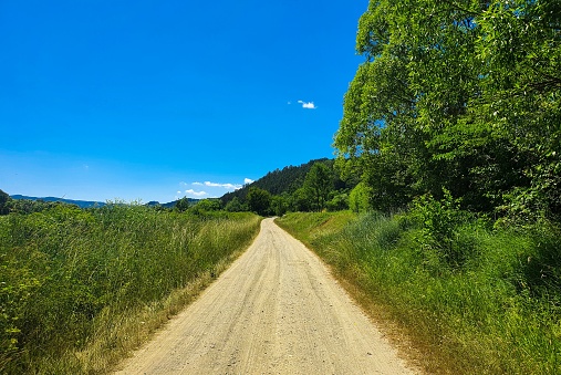 a narrow dirt road in the countryside, rural, rustic