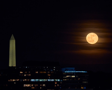 A beautiful shot of a full moon next to the Washington Monument