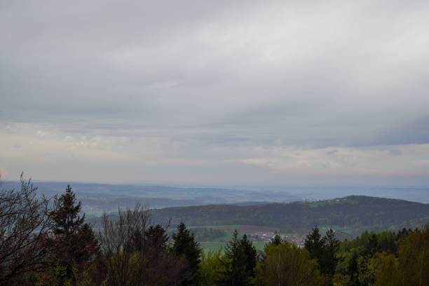 istock Scenic view of forested mountains on a gloomy day 1444366921