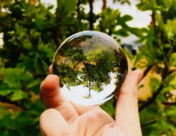 A selective focus of a clear Lensball in a hand against green trees