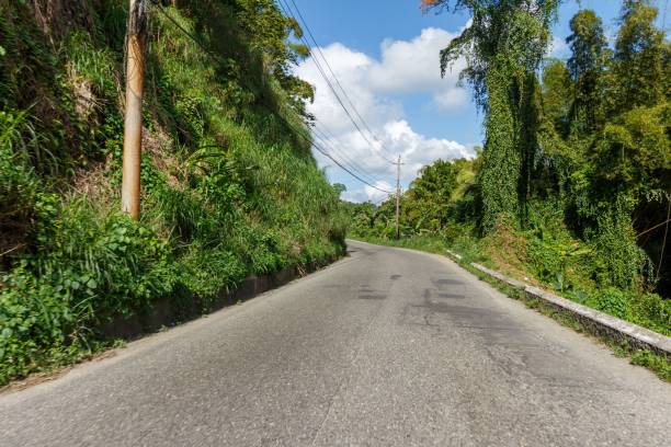 istock Asphalt road through green forests and mountains in Jamaica 1444367886