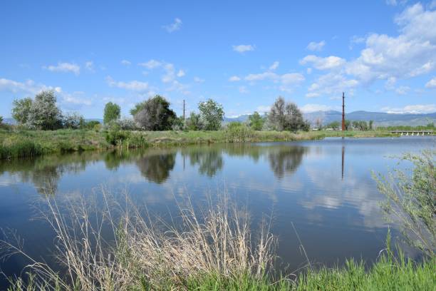 istock Lake with a forest in the background 1444369603