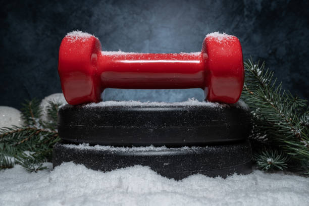 istock Winter composition with gym dumbbell on barbell weight plates and Christmas tree branches on a white snow. 1444372149