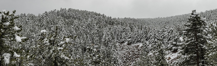 The Rocky Mountains during the winter near Raymond, Colorado.