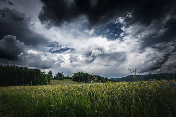 istock Dramatic thunderclouds over a field with green trees in the background 1444375550