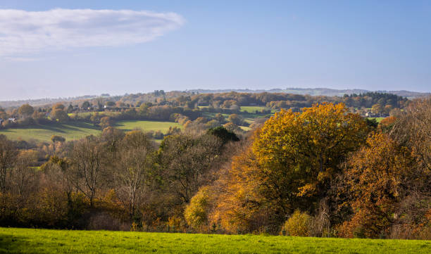 istock High weald autumn countryside 1444376417