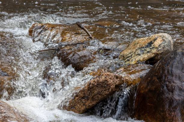 middle st. vrain creek, raymond (colorado) - st vrain photos et images de collection